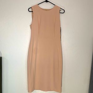 Light Pink Classic Work Dress